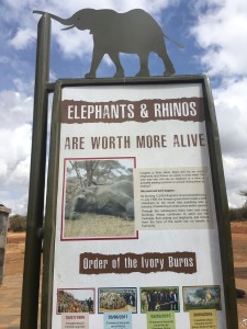 End ivory poaching. Kenya sign in Nairobi national park. 